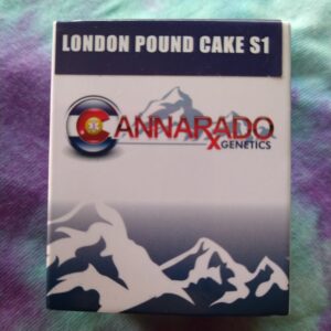 Cannarado Genetics London Pound Cake #75 s1